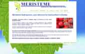 Meristeme Hydroponics